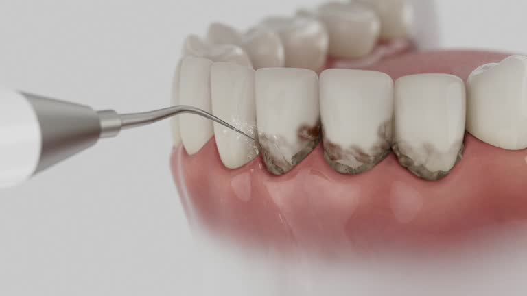 Reliable Dental contractor in Warren Park, IN by Dentist Open Now